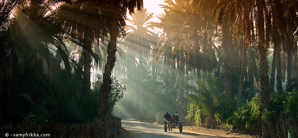 placeholder image-sq