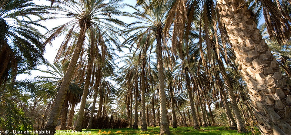 placeholder image-sq