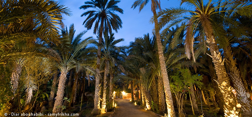 placeholder image-sq